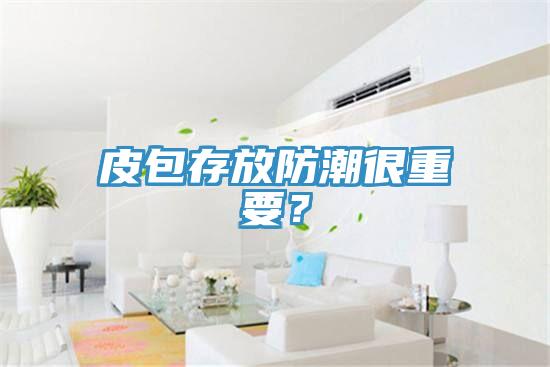 皮包存放防潮很重要？