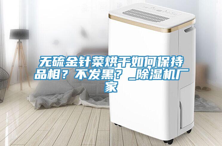 無(wú)硫金針菜烘干如何保持品相？不發(fā)黑？_除濕機(jī)廠家