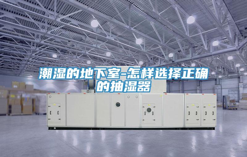 潮濕的地下室-怎樣選擇正確的抽濕器