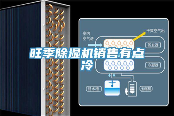 旺季除濕機(jī)銷售有點冷