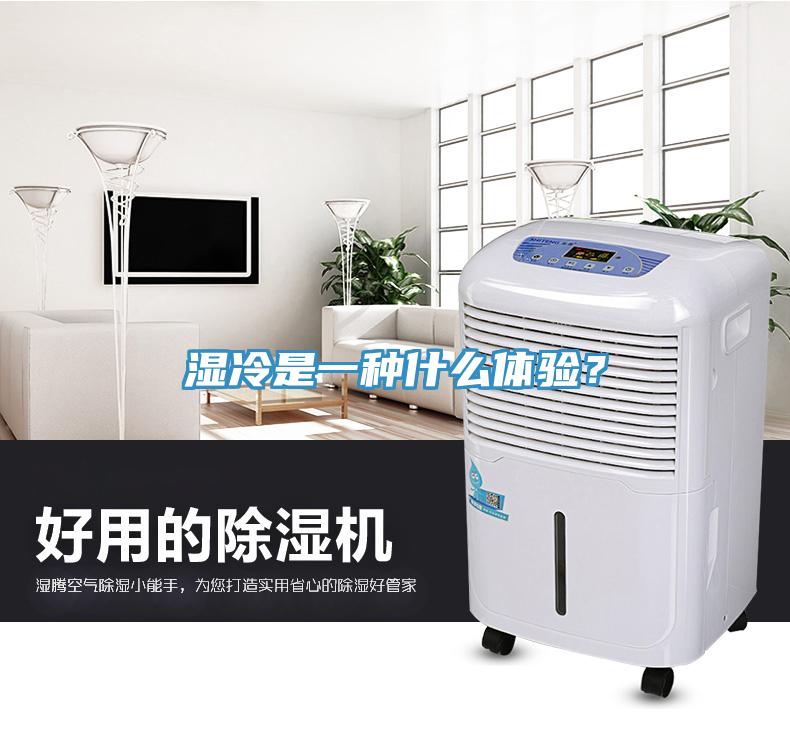 濕冷是一種什么體驗？