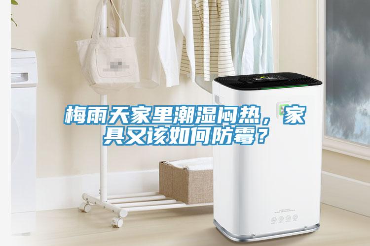 梅雨天家里潮濕悶熱，家具又該如何防霉？