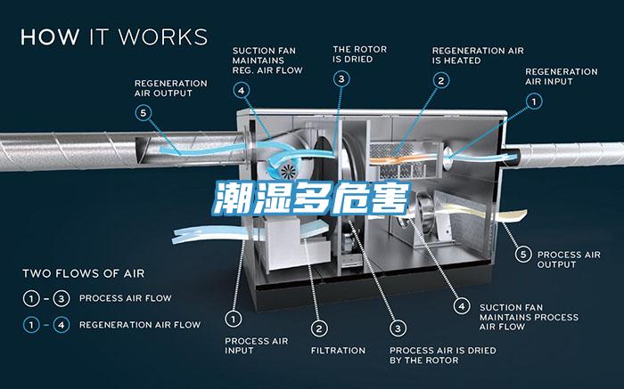 潮濕多危害