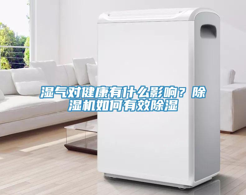 濕氣對健康有什么影響？除濕機如何有效除濕