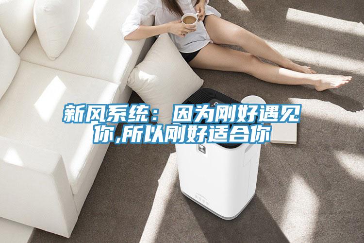新風(fēng)系統(tǒng)：因?yàn)閯偤糜鲆娔?所以剛好適合你