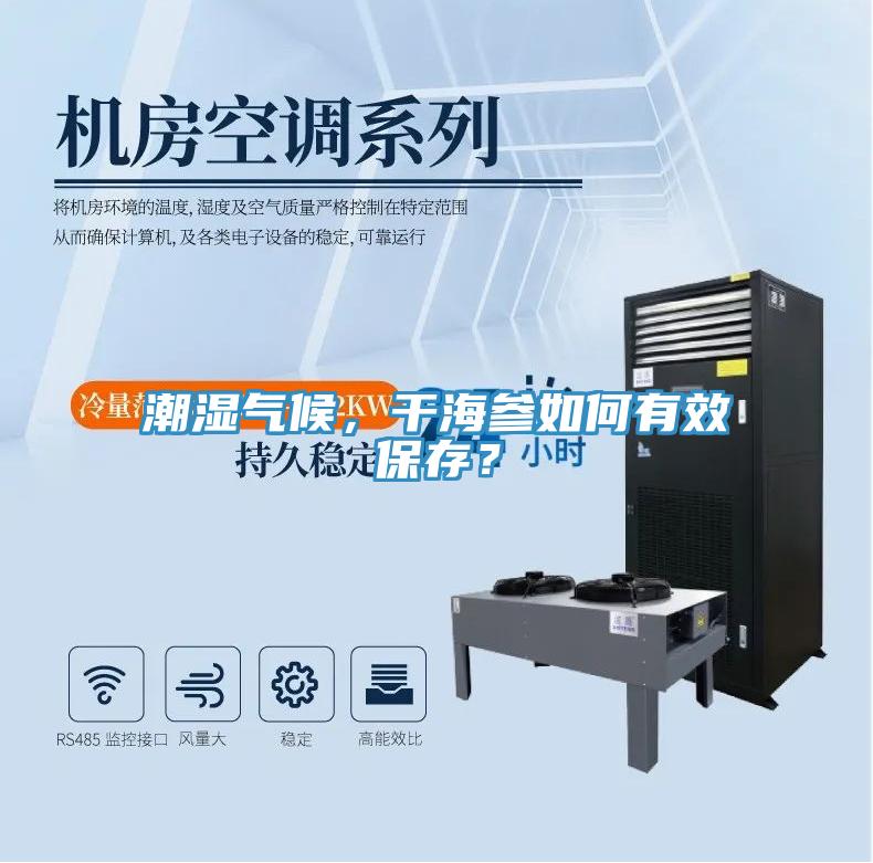 潮濕氣候，干海參如何有效保存？