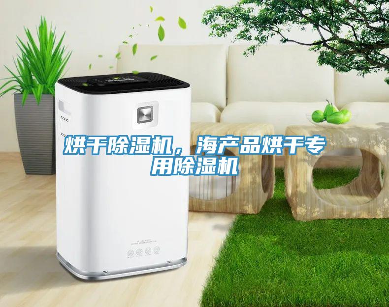 烘干除濕機(jī)，海產(chǎn)品烘干專用除濕機(jī)