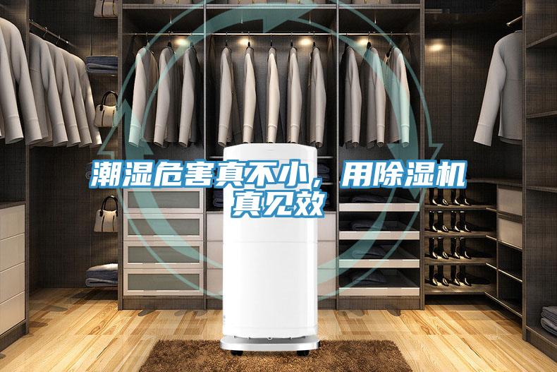 潮濕危害真不小，用除濕機(jī)真見效