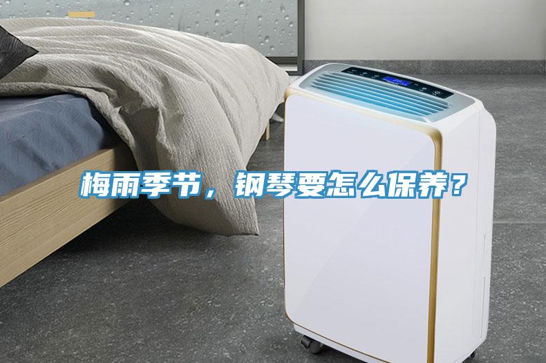 梅雨季節(jié)，鋼琴要怎么保養(yǎng)？
