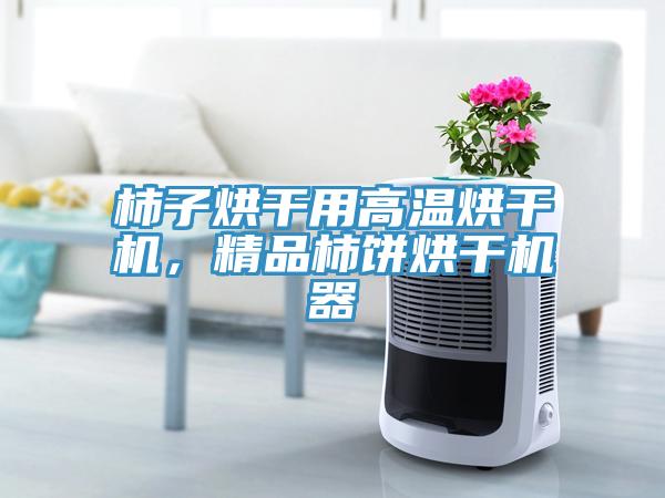 柿子烘干用高溫烘干機，精品柿餅烘干機器