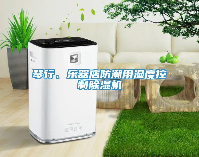 琴行、樂(lè)器店防潮用濕度控制除濕機(jī)