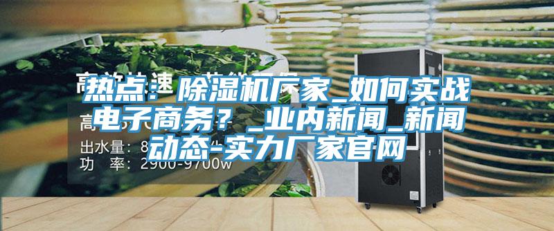 熱點：除濕機廠家_如何實戰(zhàn)電子商務(wù)？_業(yè)內(nèi)新聞_新聞動態(tài)-實力廠家官網(wǎng)