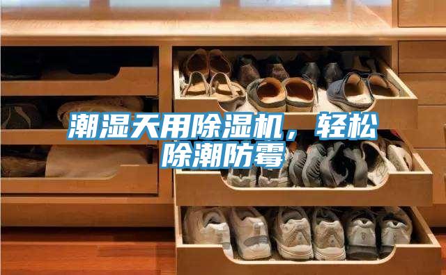 潮濕天用除濕機,輕松除潮防霉