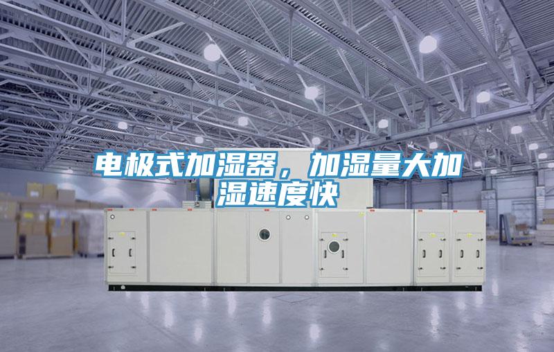 電極式加濕器，加濕量大加濕速度快