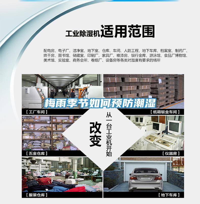 梅雨季節(jié)如何預(yù)防潮濕
