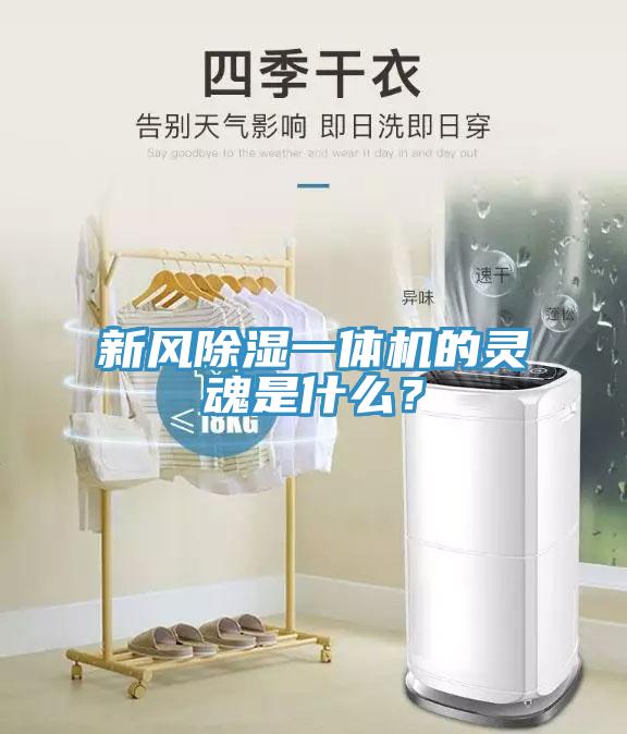 新風(fēng)除濕一體機(jī)的靈魂是什么？