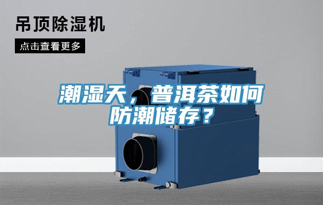 潮濕天，普洱茶如何防潮儲(chǔ)存？
