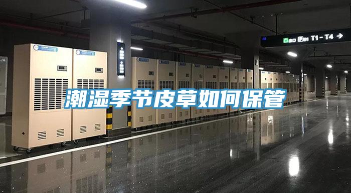 潮濕季節(jié)皮草如何保管