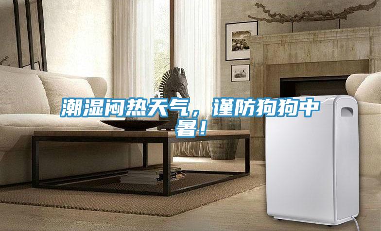 潮濕悶熱天氣，謹(jǐn)防狗狗中暑！