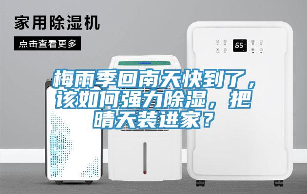 梅雨季回南天快到了，該如何強力除濕，把晴天裝進家？