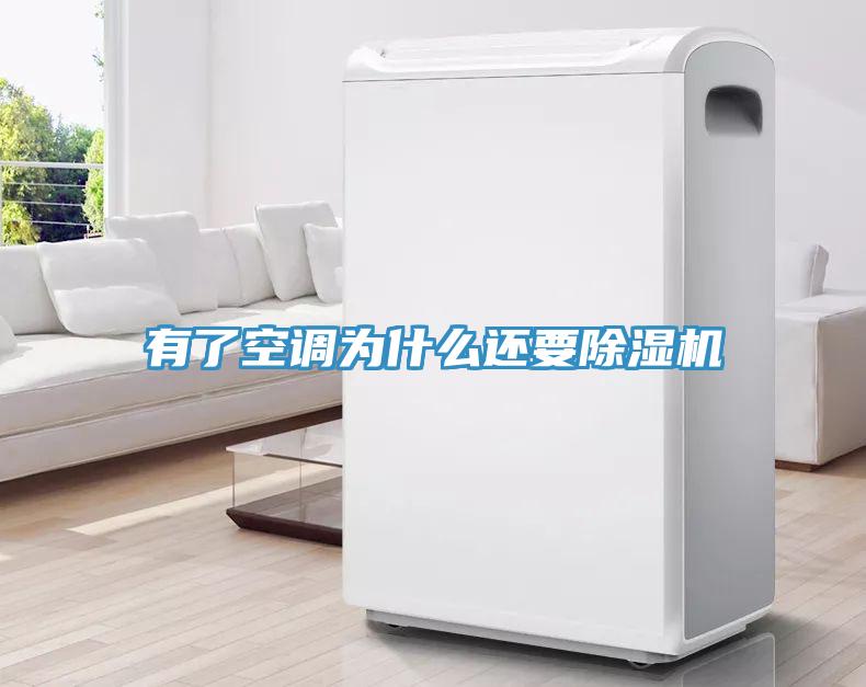 有了空調(diào)為什么還要除濕機