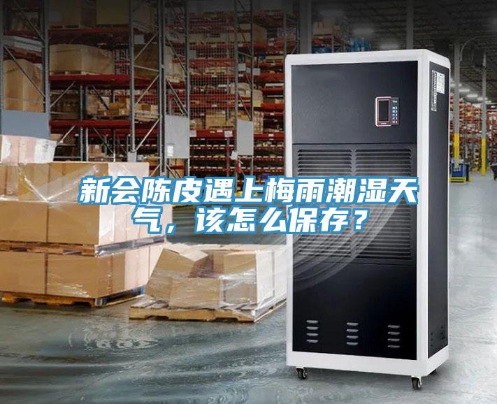 新會(huì)陳皮遇上梅雨潮濕天氣，該怎么保存？