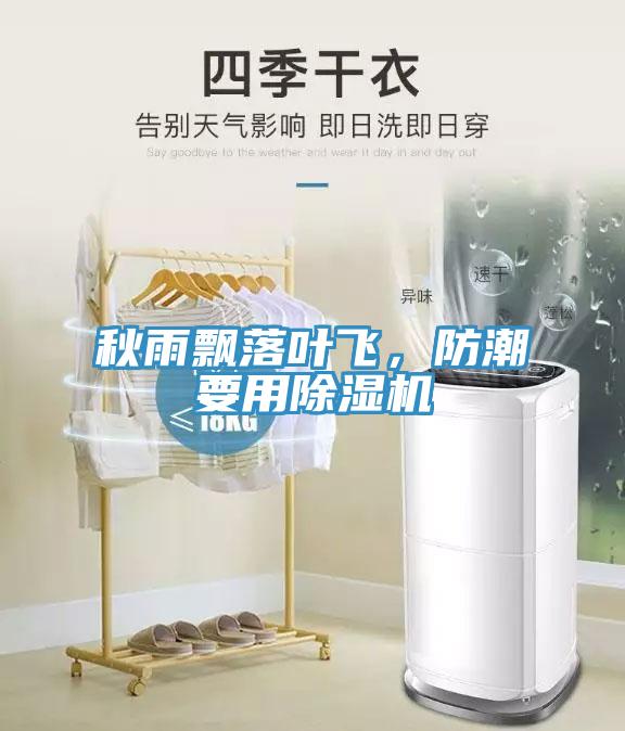秋雨飄落葉飛，防潮要用除濕機