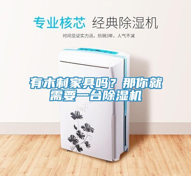 有木制家具嗎？那你就需要一臺除濕機