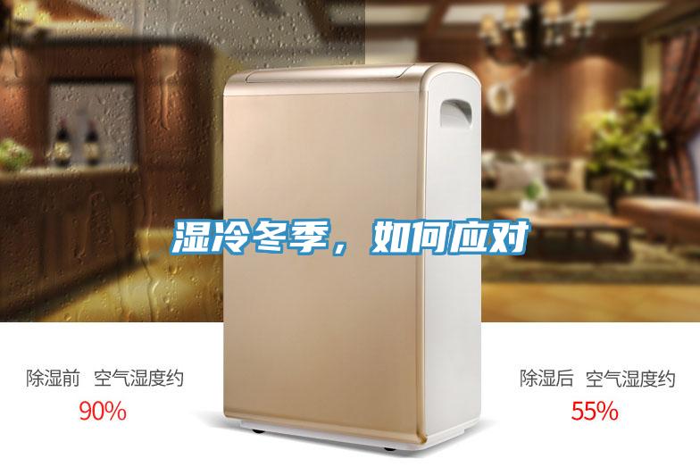 濕冷冬季，如何應對