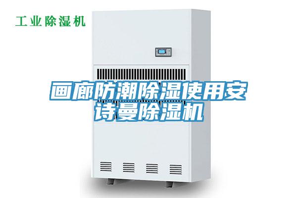 畫廊防潮除濕使用安詩(shī)曼除濕機(jī)