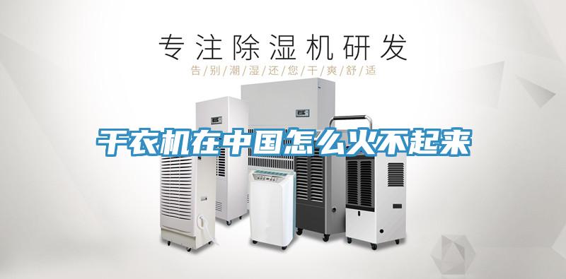 干衣機(jī)在中國怎么火不起來
