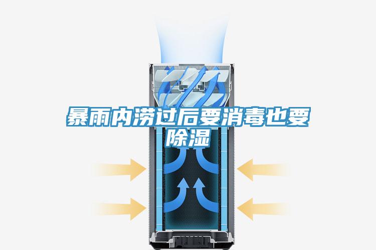 暴雨內(nèi)澇過(guò)后要消毒也要除濕