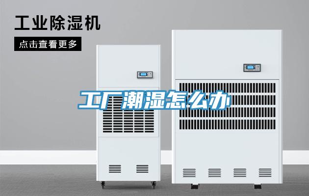 工廠潮濕怎么辦