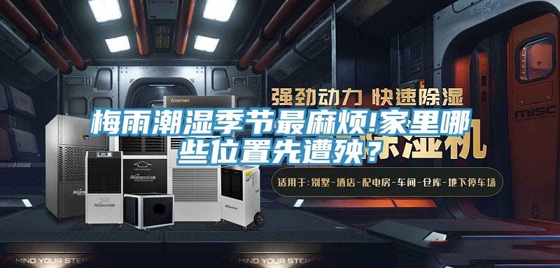 梅雨潮濕季節(jié)最麻煩!家里哪些位置先遭殃？