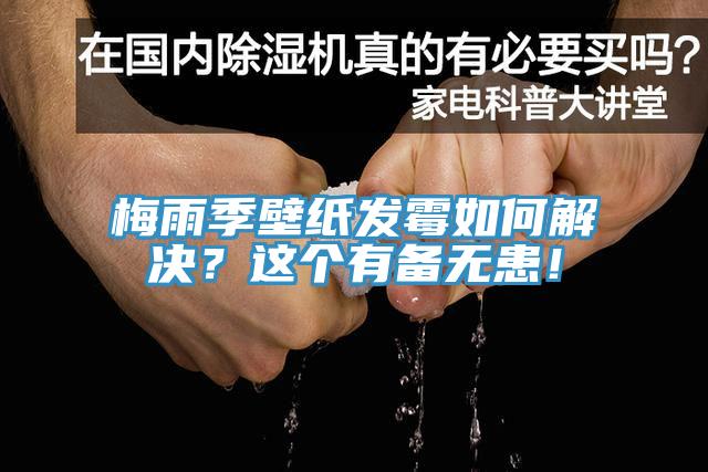 梅雨季壁紙發(fā)霉如何解決？這個有備無患！