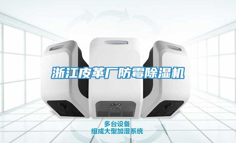 浙江皮革廠防霉除濕機(jī)