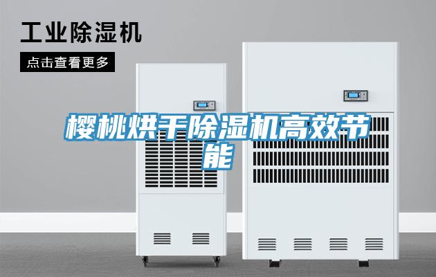 櫻桃烘干除濕機高效節(jié)能