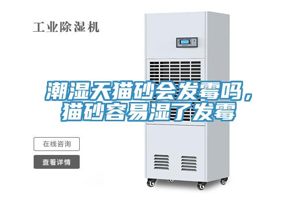 潮濕天貓砂會(huì)發(fā)霉嗎，貓砂容易濕了發(fā)霉