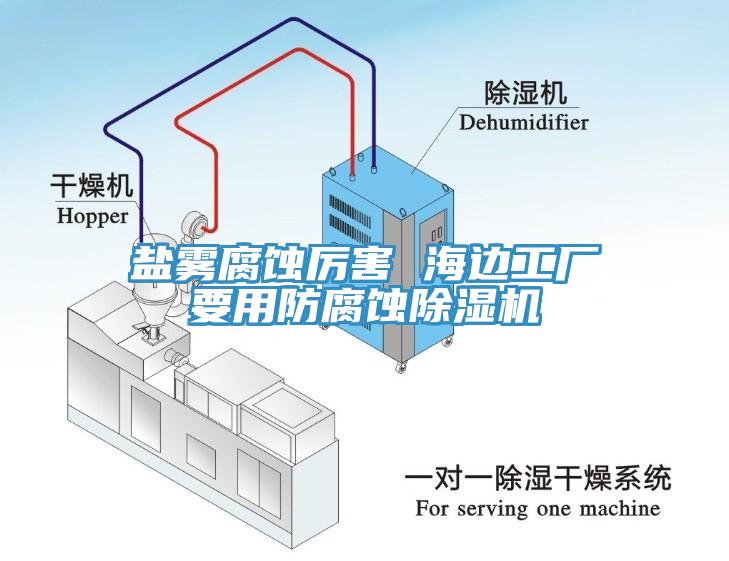 鹽霧腐蝕厲害 海邊工廠要用防腐蝕除濕機