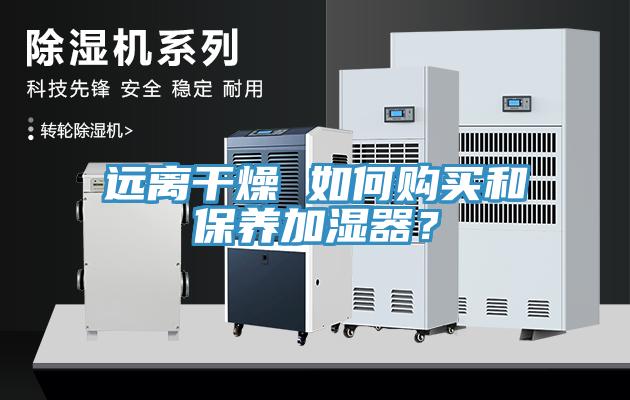 遠離干燥 如何購買和保養(yǎng)加濕器？
