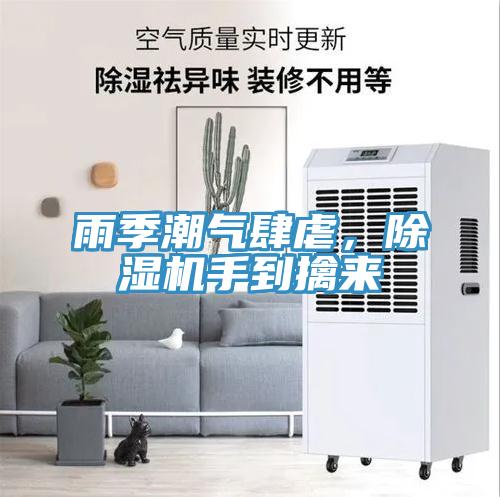雨季潮氣肆虐，除濕機手到擒來