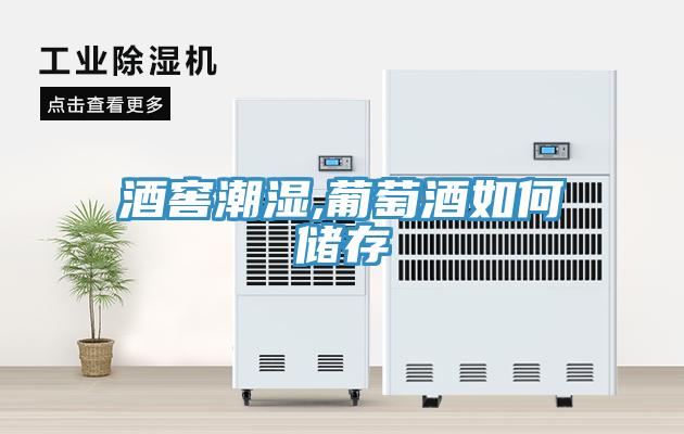 酒窖潮濕,葡萄酒如何儲(chǔ)存