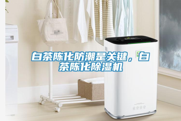 白茶陳化防潮是關(guān)鍵，白茶陳化除濕機(jī)