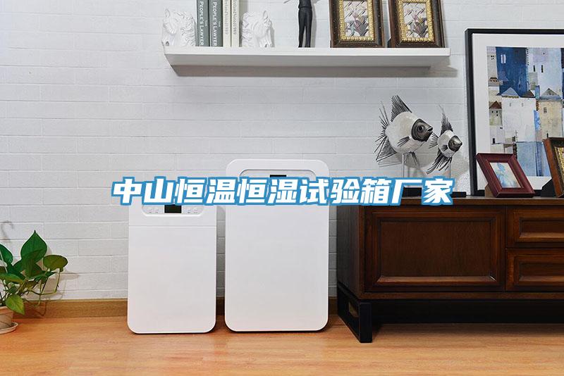 中山恒溫恒濕試驗(yàn)箱廠家