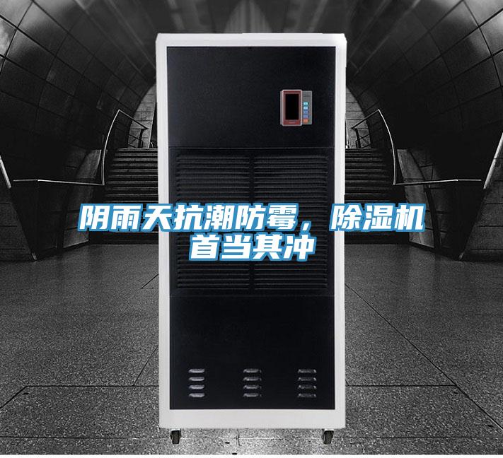陰雨天抗潮防霉，除濕機(jī)首當(dāng)其沖