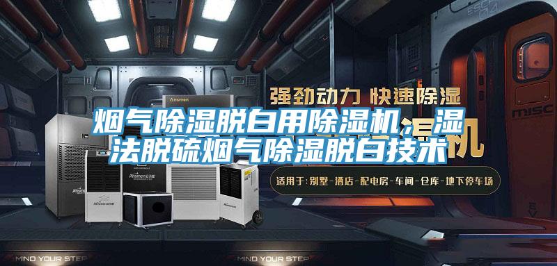 煙氣除濕脫白用除濕機(jī)，濕法脫硫煙氣除濕脫白技術(shù)