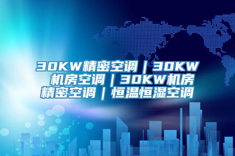 30KW精密空調(diào)｜30KW 機(jī)房空調(diào)｜30KW機(jī)房精密空調(diào)｜恒溫恒濕空調(diào)