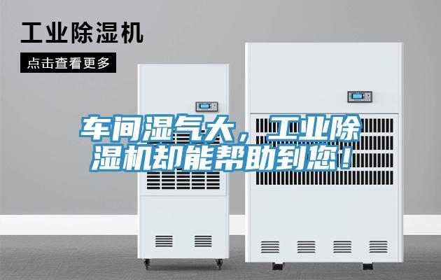 車間濕氣大，工業(yè)除濕機卻能幫助到您！