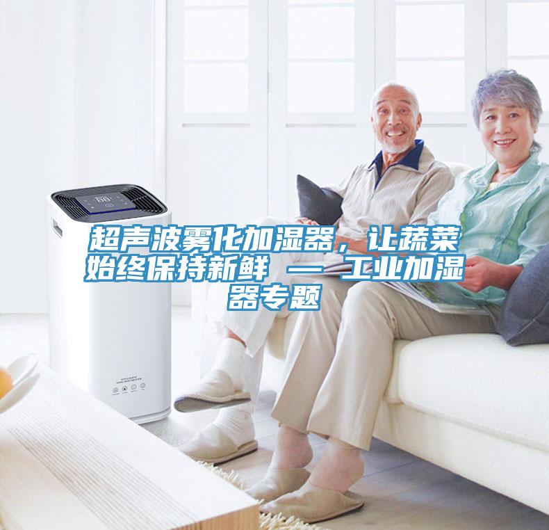 超聲波霧化加濕器，讓蔬菜始終保持新鮮 — 工業(yè)加濕器專題