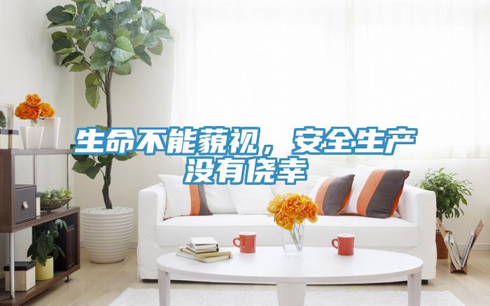 生命不能藐視，安全生產(chǎn)沒有僥幸